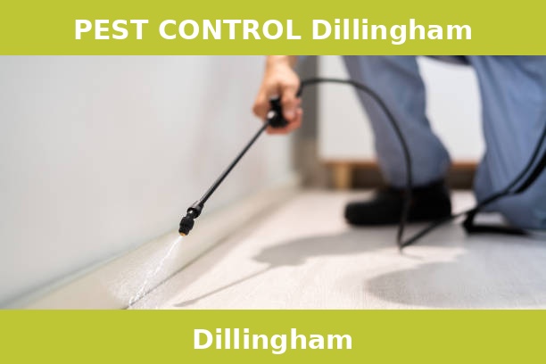 PEST CONTROL Dillingham